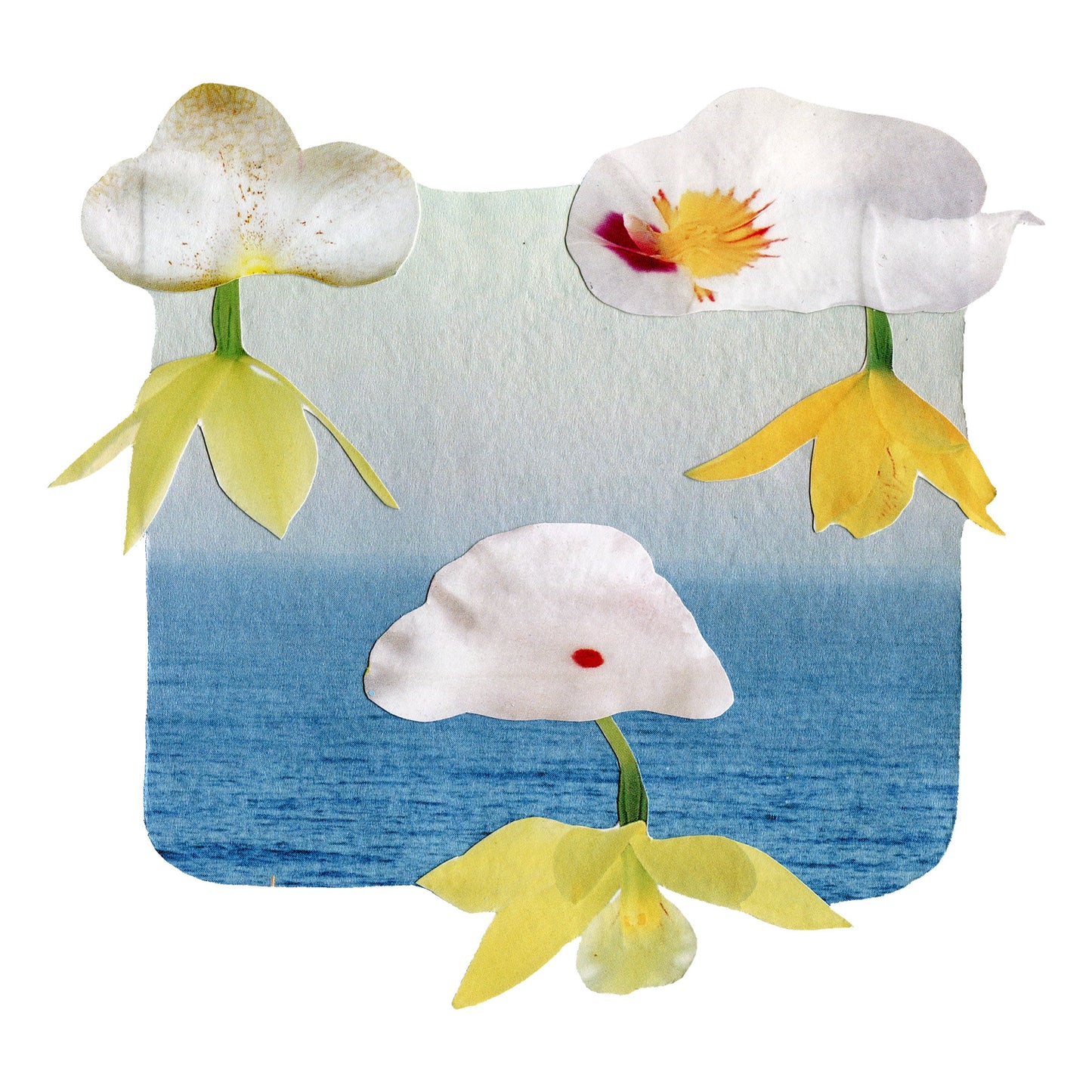 Clouded in Petals - Collage Art Print