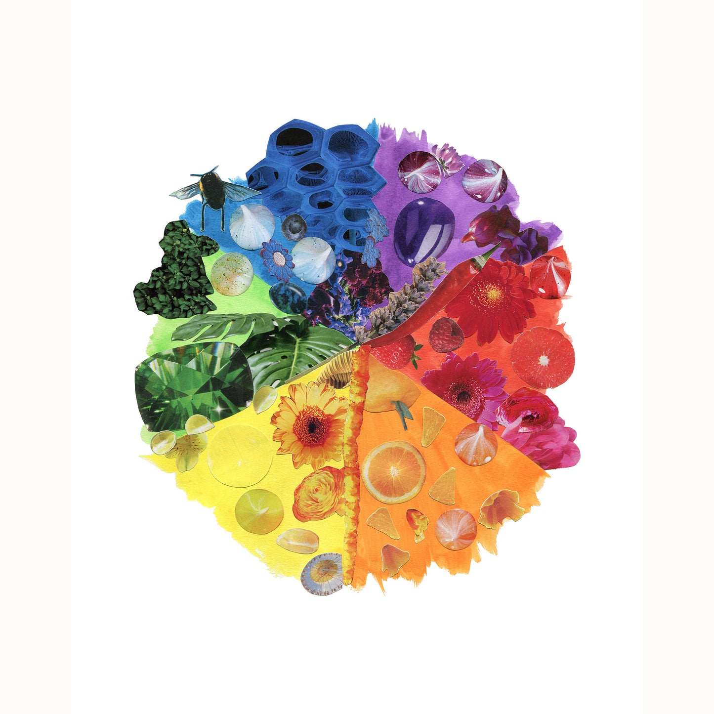 Colour Full Wheel - Collage Art Print