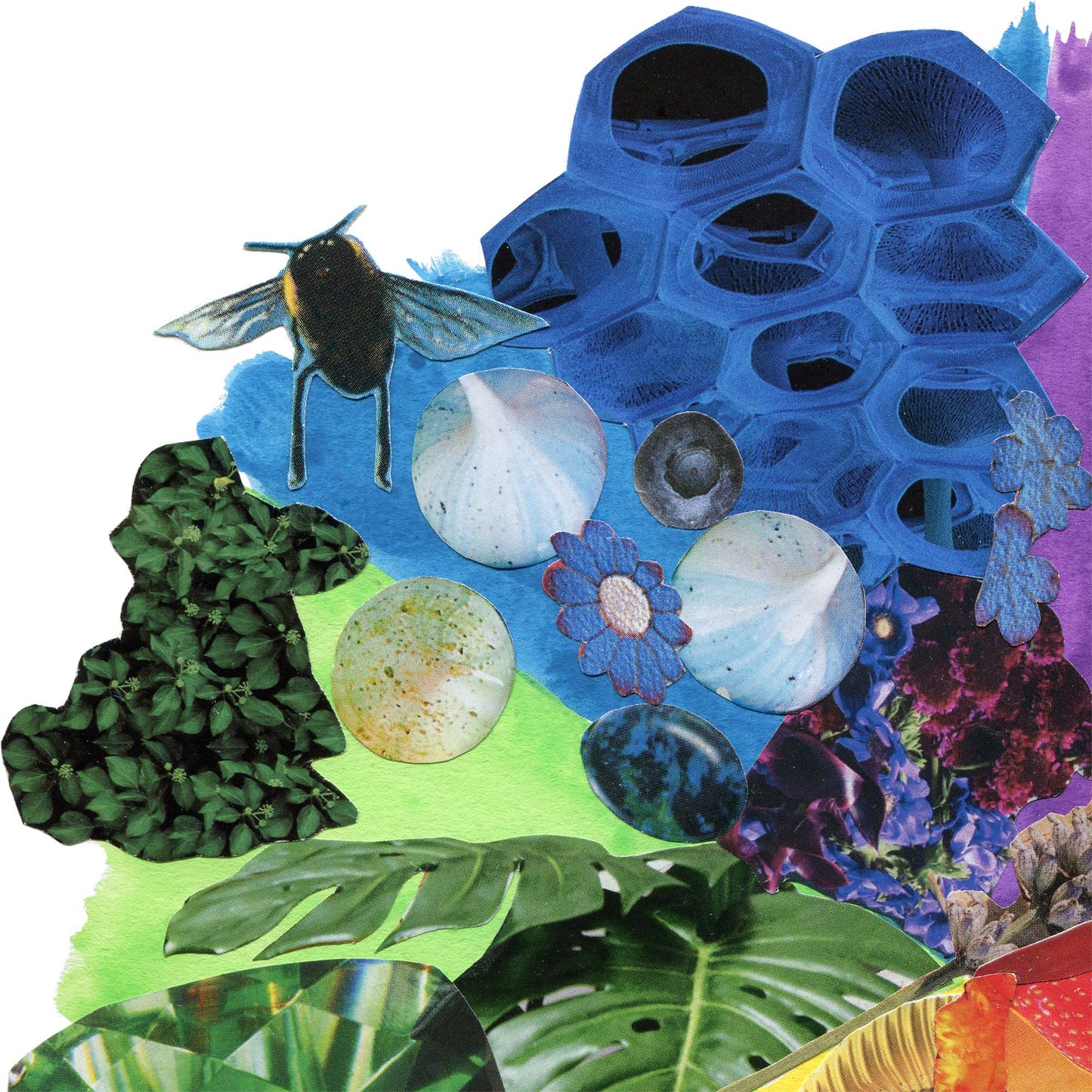 Colour Full Wheel - Collage Art Print