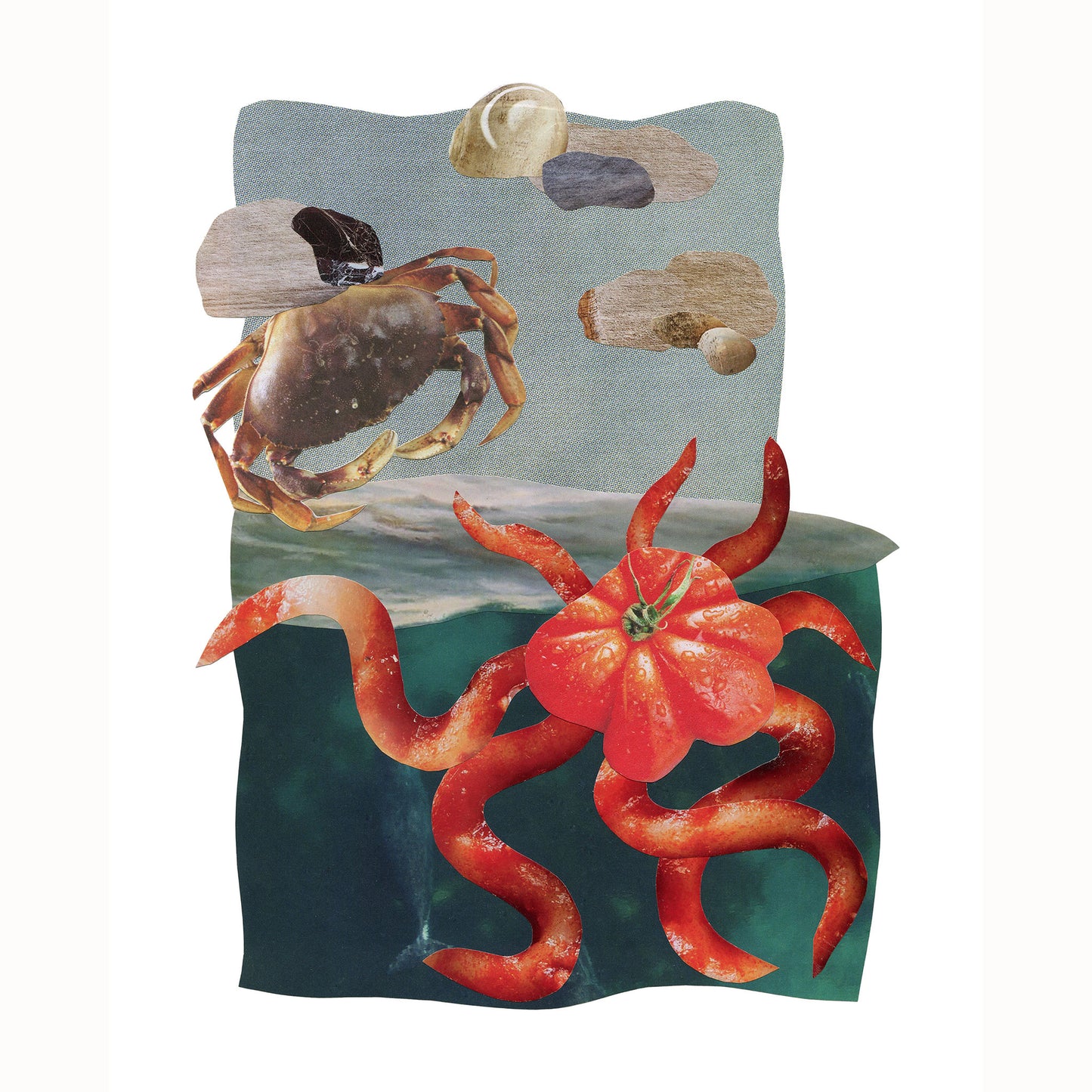 Curious Crab - Collage Art Print