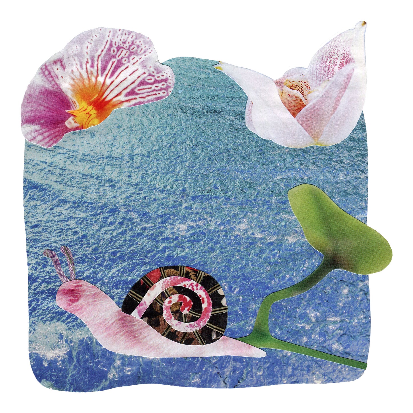 Pretty in Petals - Collage Art Print