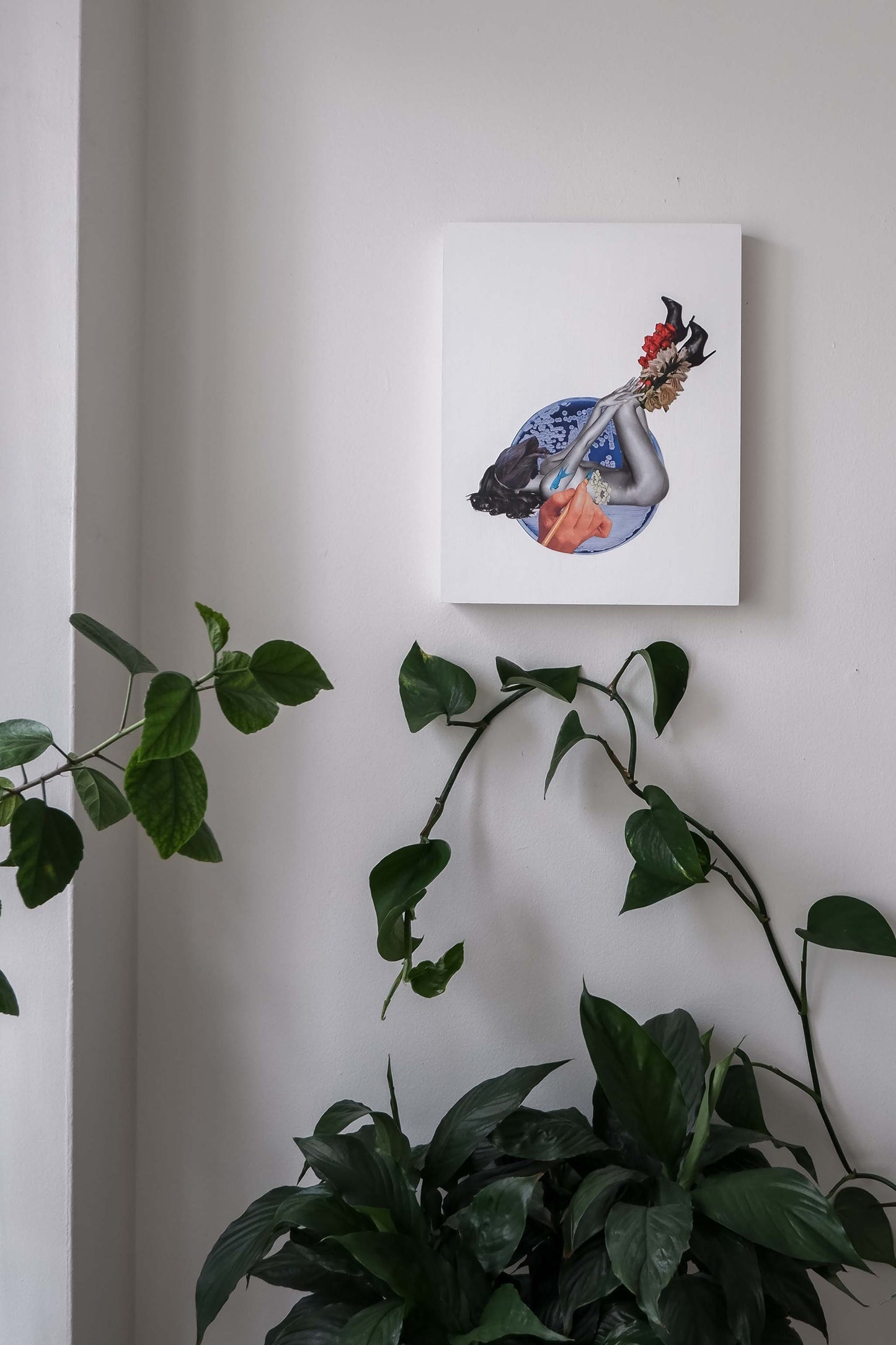 gallery wall with Botanical Ink collage art by artist Marissa Schiesser. Light comes in from a window casting shadows