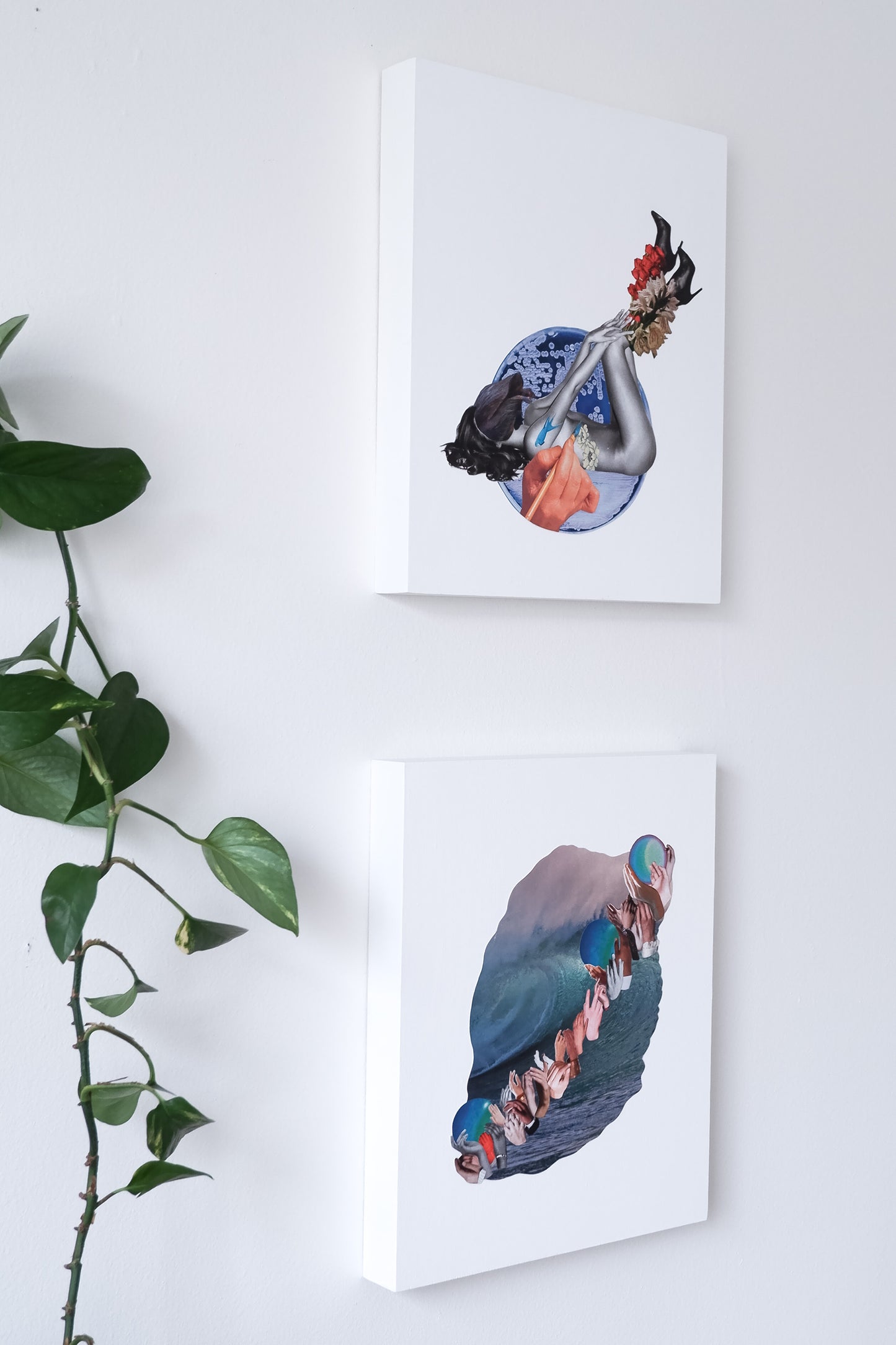 gallery wall with Botanical Ink and Three Waves collage art by artist Marissa Schiesser