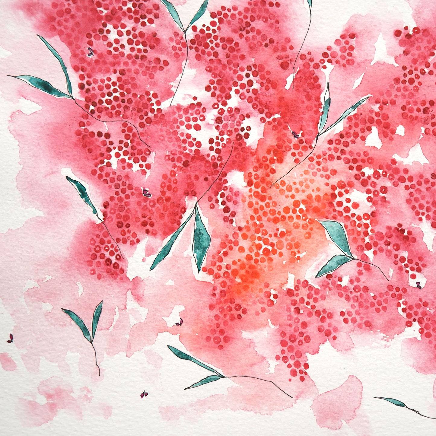 detail of crimson lake painting of dots of bold red-pink and orange. A colour-wash and ink details are highlighted.
