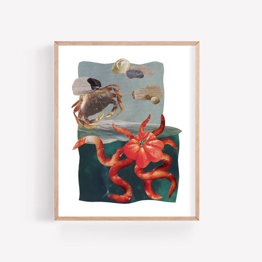 Curious Crab - Collage Art Print