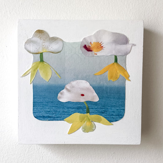 Collage art on a white painted wood panel on a white wall. Collage of clouds made of white petals with yellow orchids hanging from them. Background of blue ocean with foggy sky.