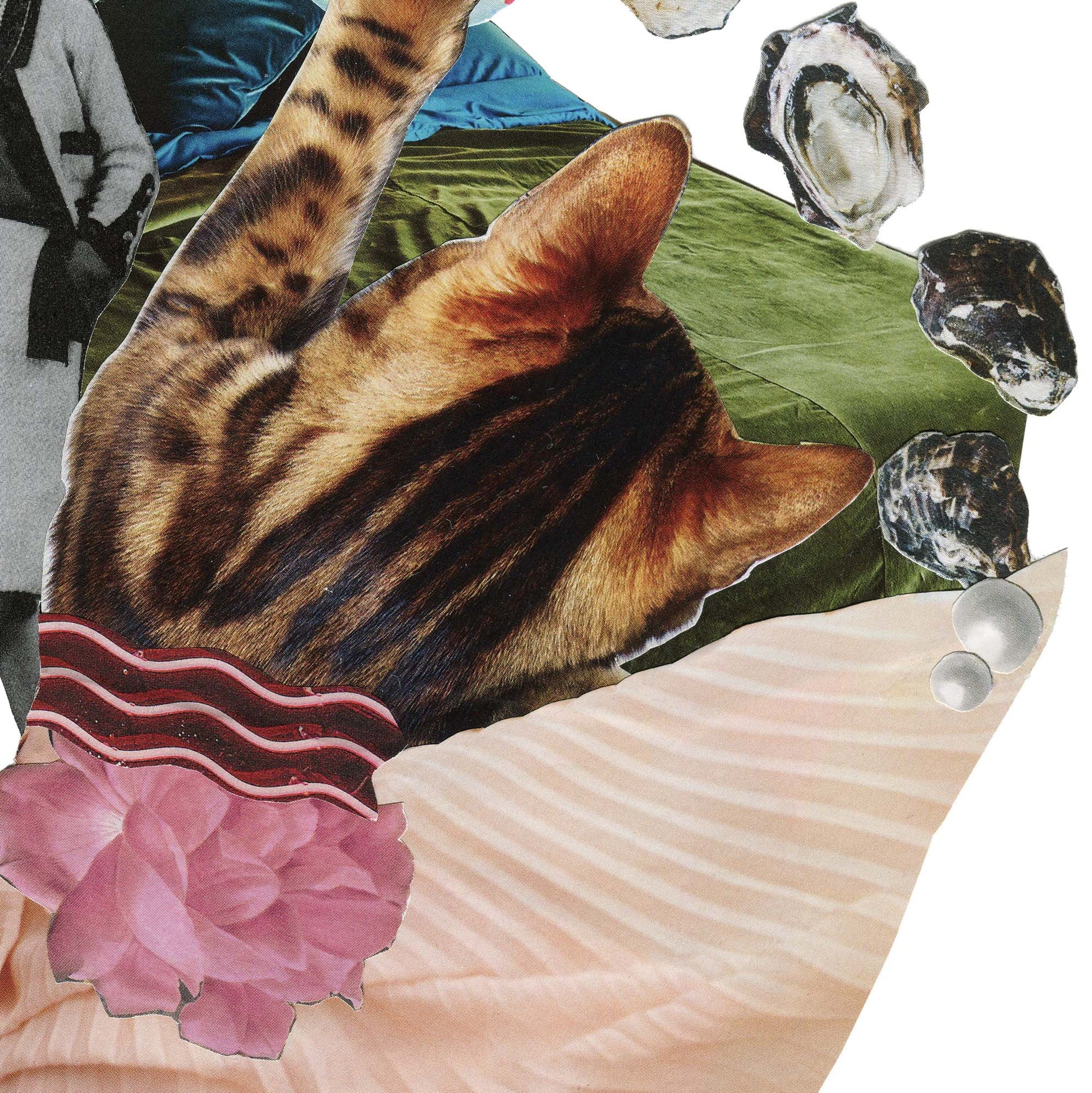 Detail of Dialed In fine art print by collage artist Marissa Schiesser. Close up shows a tabby cat surrounded by pleated fabric.